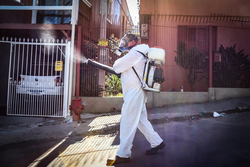 Casos confirmados de dengue em Porto Alegre chegam a 1.878 no ano